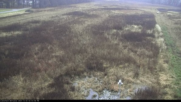 Cell 1_23-12-02_14-53-46-77