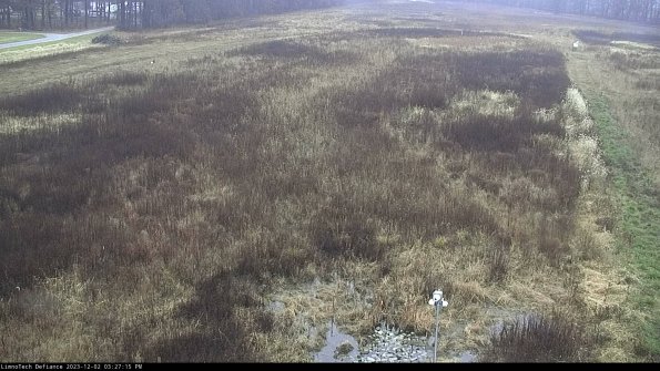 Cell 1_23-12-02_15-27-15-78