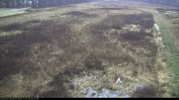 Cell 1_23-12-02_16-00-43-76