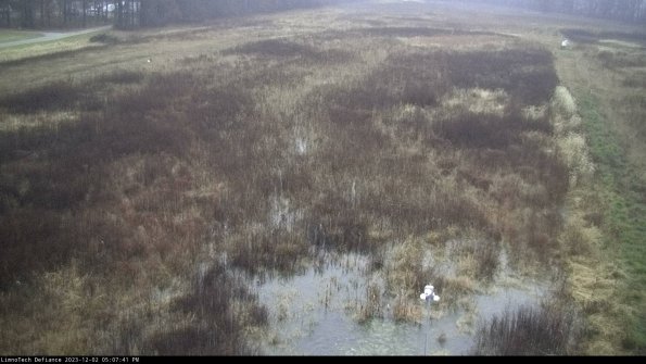 Cell 1_23-12-02_17-07-41-79