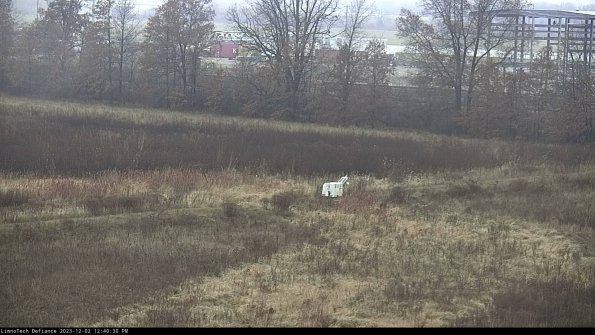 Cell 2 to 3_23-12-02_12-40-30-82