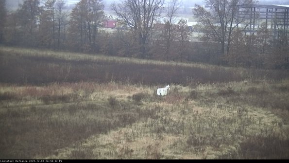 Cell 2 to 3_23-12-02_16-34-52-89