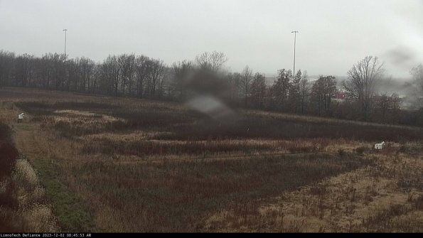 Cell 2_23-12-02_08-45-53-80