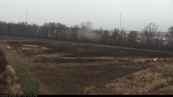 Cell 2_23-12-02_10-26-20-81