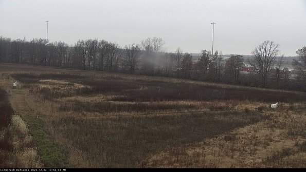 Cell 2_23-12-02_10-59-48-86