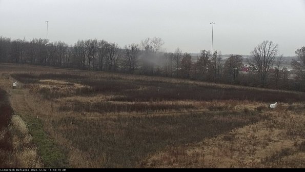 Cell 2_23-12-02_11-33-19-81