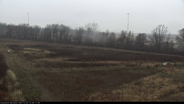 Cell 2_23-12-02_12-40-17-80