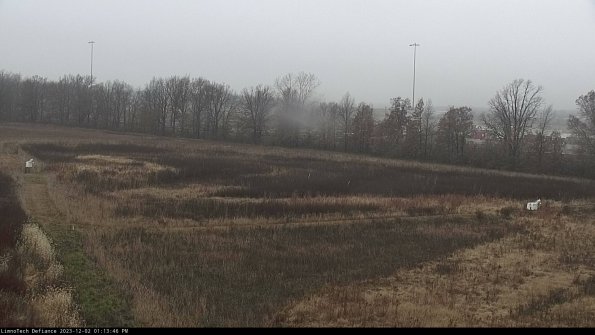 Cell 2_23-12-02_13-13-46-82