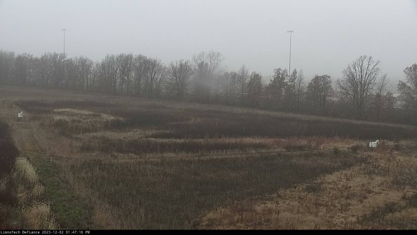 Cell 2_23-12-02_13-47-16-80