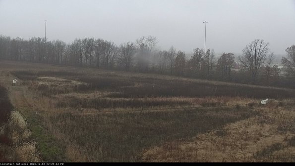 Cell 2_23-12-02_14-20-44-85