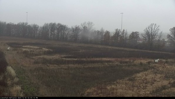 Cell 2_23-12-02_14-54-13-80