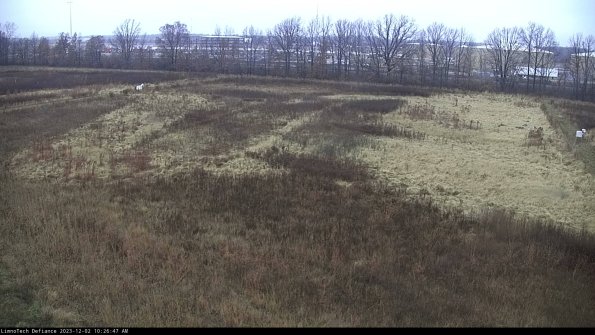 Cell 3_23-12-02_10-26-48-00