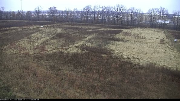 Cell 3_23-12-02_11-00-16-79