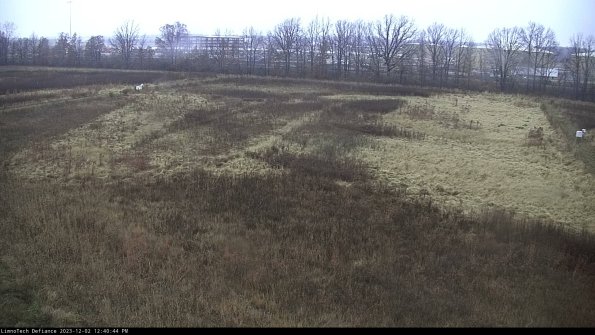 Cell 3_23-12-02_12-40-44-96