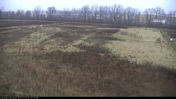 Cell 3_23-12-02_13-14-14-78