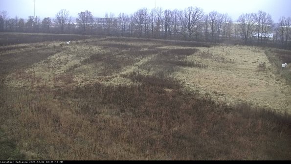 Cell 3_23-12-02_14-21-12-78