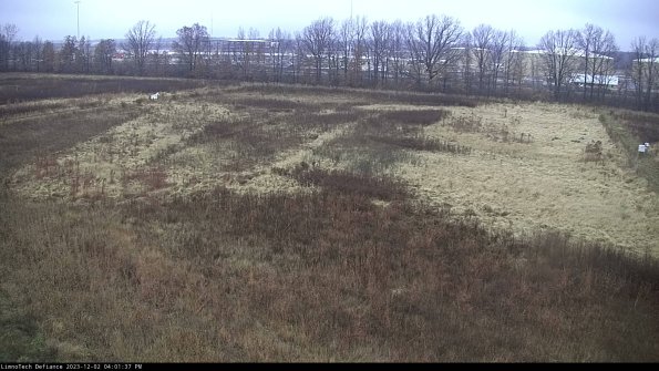 Cell 3_23-12-02_16-01-38-05