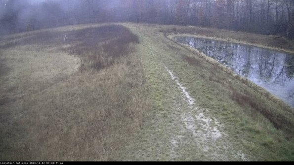 Cell 4 to Basin_23-12-02_07-40-21-79