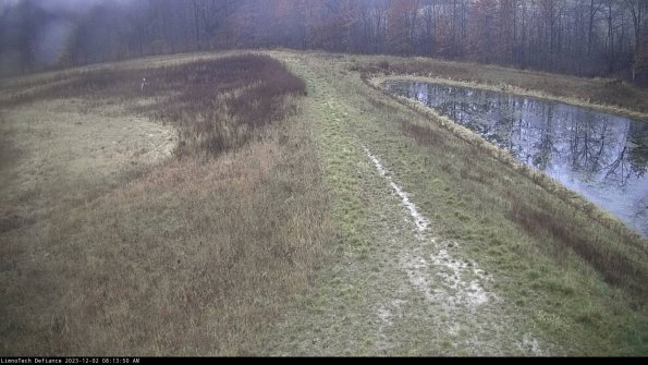 Cell 4 to Basin_23-12-02_08-13-50-80