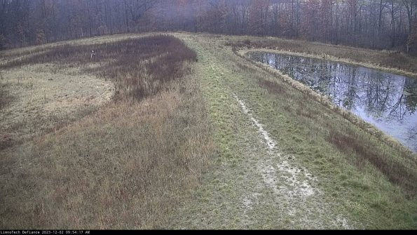 Cell 4 to Basin_23-12-02_09-54-17-78