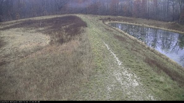 Cell 4 to Basin_23-12-02_11-34-45-79