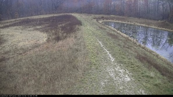 Cell 4 to Basin_23-12-02_12-08-13-77