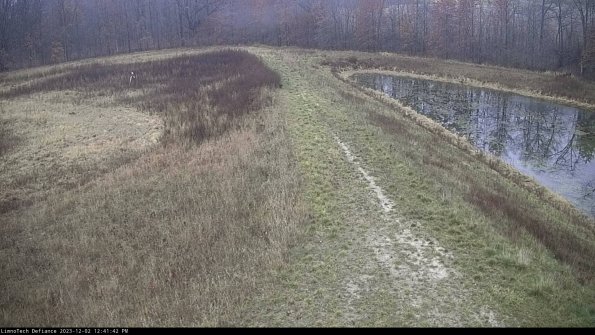 Cell 4 to Basin_23-12-02_12-41-42-79