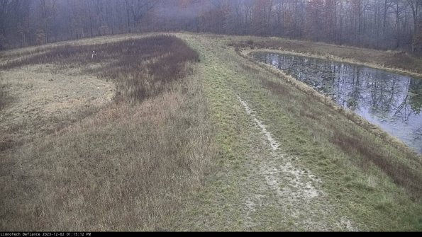 Cell 4 to Basin_23-12-02_13-15-12-81