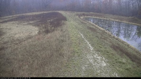 Cell 4 to Basin_23-12-02_13-48-41-79