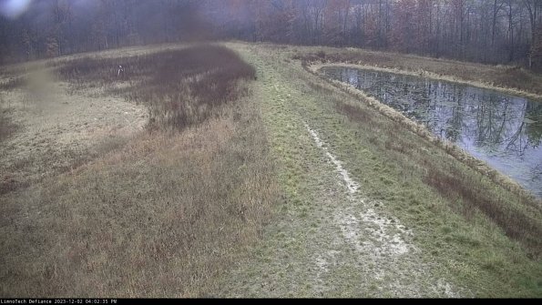 Cell 4 to Basin_23-12-02_16-02-35-77