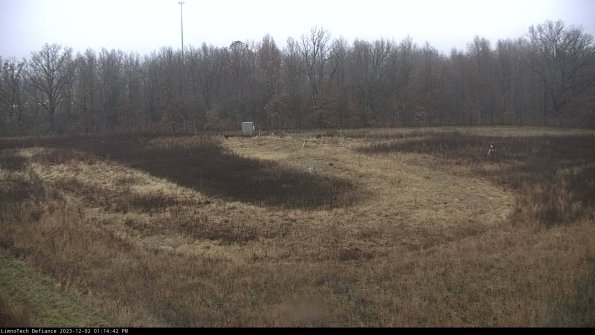 Cell 4_23-12-02_13-14-42-77