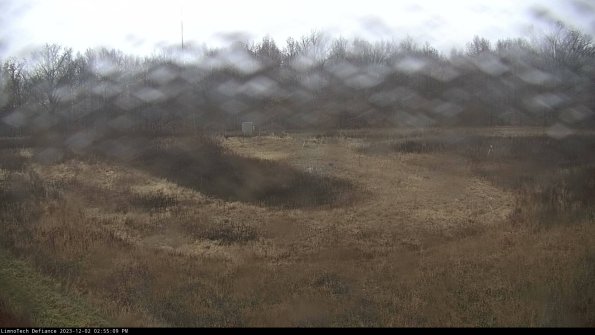 Cell 4_23-12-02_14-55-09-79