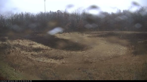 Cell 4_23-12-02_16-02-05-78