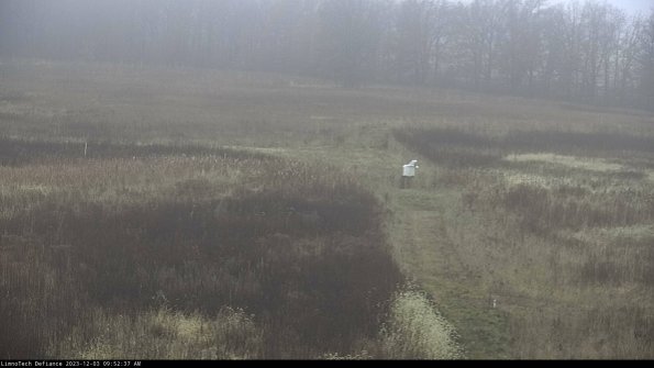 Cell 1 to 2_23-12-03_09-52-37-80