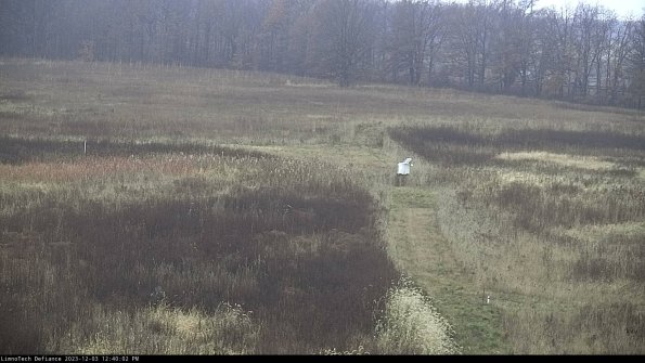 Cell 1 to 2_23-12-03_12-40-02-77