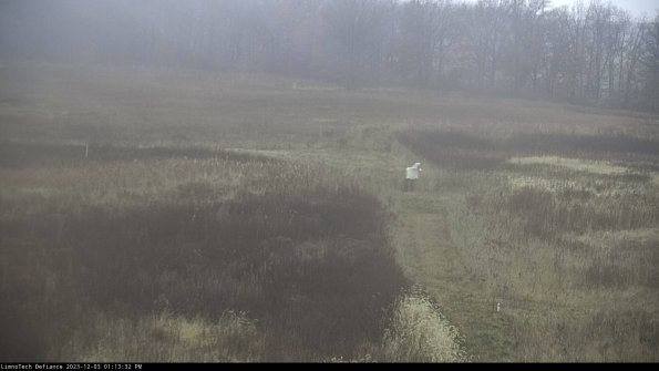 Cell 1 to 2_23-12-03_13-13-32-78