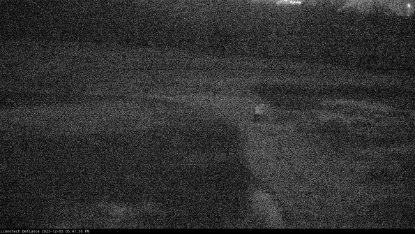 Cell 1 to 2_23-12-03_17-41-36-78