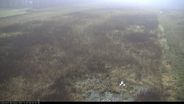 Cell 1_23-12-03_08-45-25-78