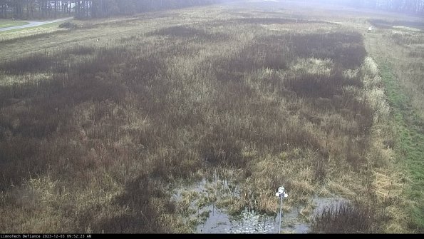 Cell 1_23-12-03_09-52-23-78