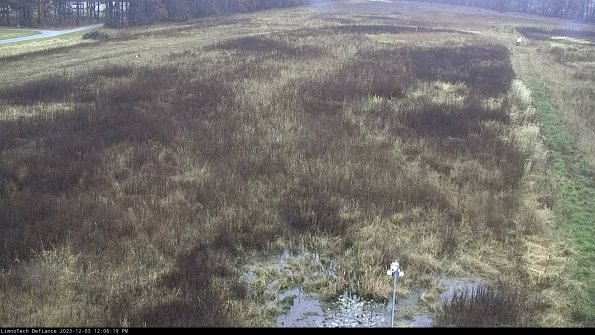 Cell 1_23-12-03_12-06-19-77