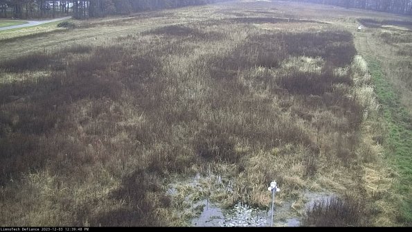 Cell 1_23-12-03_12-39-48-79