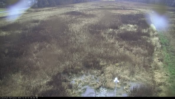 Cell 1_23-12-03_13-46-48-79