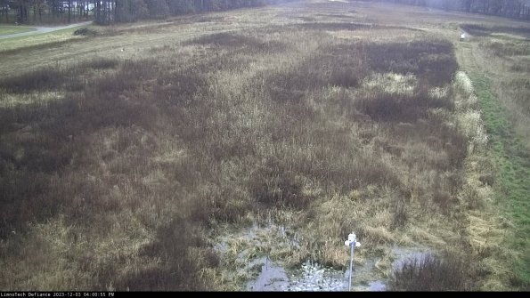 Cell 1_23-12-03_16-00-55-79