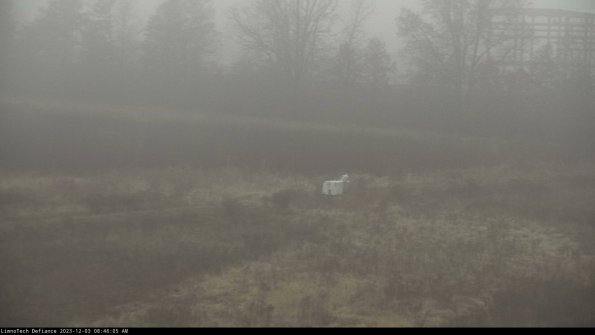 Cell 2 to 3_23-12-03_08-46-05-86