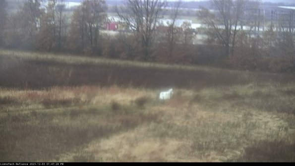 Cell 2 to 3_23-12-03_13-47-28-86