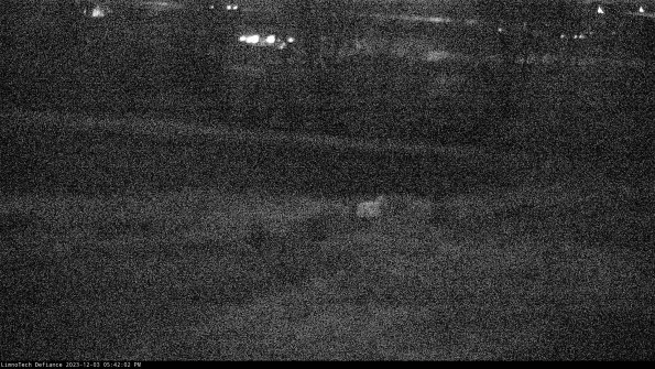 Cell 2 to 3_23-12-03_17-42-02-97