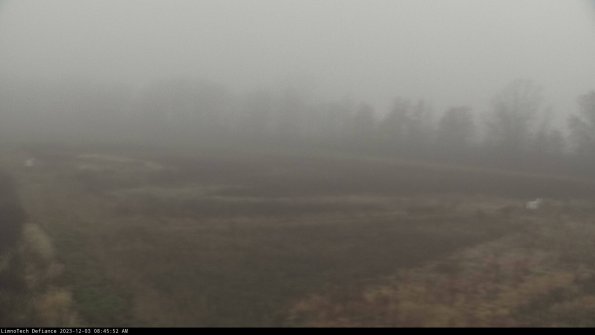 Cell 2_23-12-03_08-45-52-81