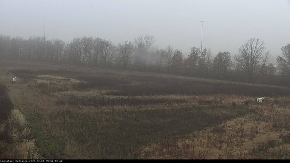 Cell 2_23-12-03_09-52-50-84