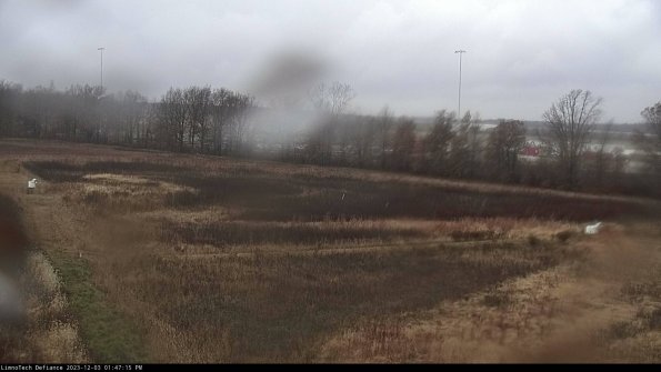 Cell 2_23-12-03_13-47-15-78