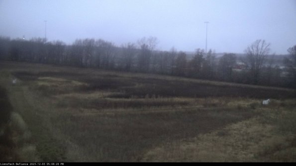 Cell 2_23-12-03_17-08-20-81